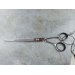 Парикмахерские ножницы MеlоnРrо Silver Edition 6,5”